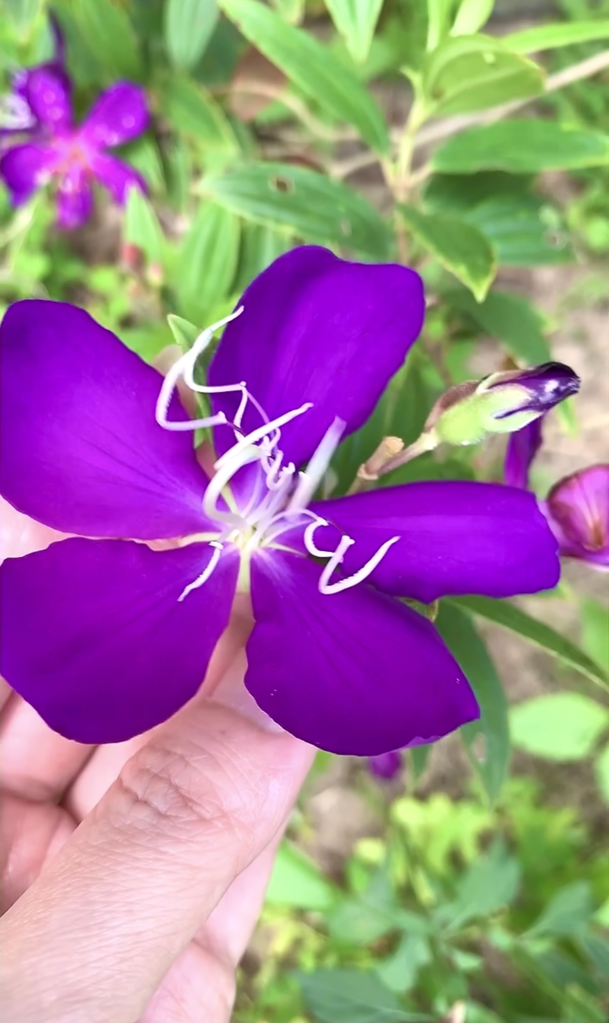 6618FBF4-D421-4210-9A0D-916BD8A79252.jpeg