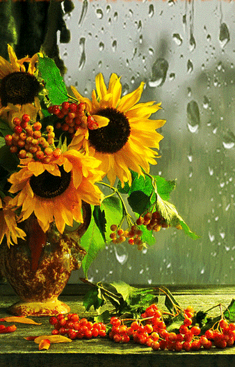 6af02a38d99c6638de28cd03a96007c6.gif