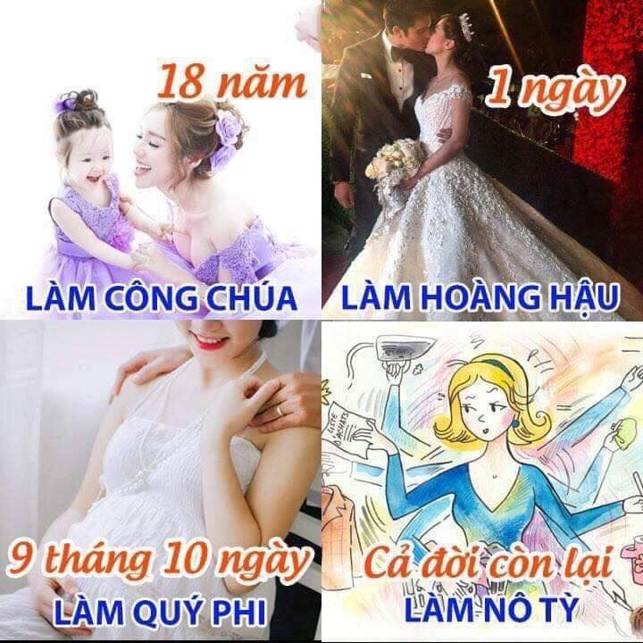 6e081261f15eb968bdd6b1b351cc264b.jpg