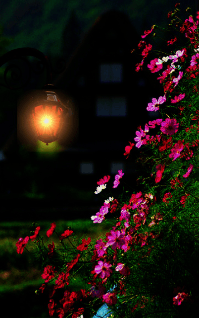 7391568cc6ccc9b245e1119215f8a3b7.gif