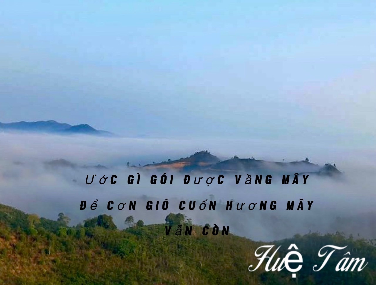 759E090A-CC55-47F2-A99C-9920153F7380.jpeg