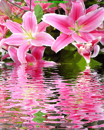 764f6968120b44e9c6203548a426bde2.gif
