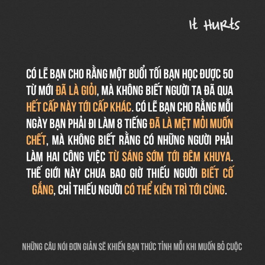77053217680280cbd502a8d56e639df9.jpg