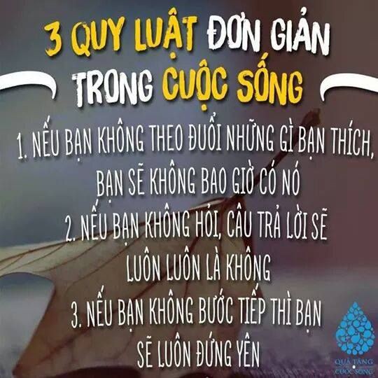 77a8c91757b97509c0beda5f67ca527b.jpg