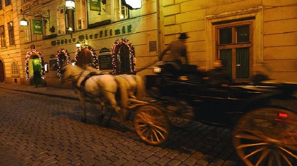 78252546[1].jpg