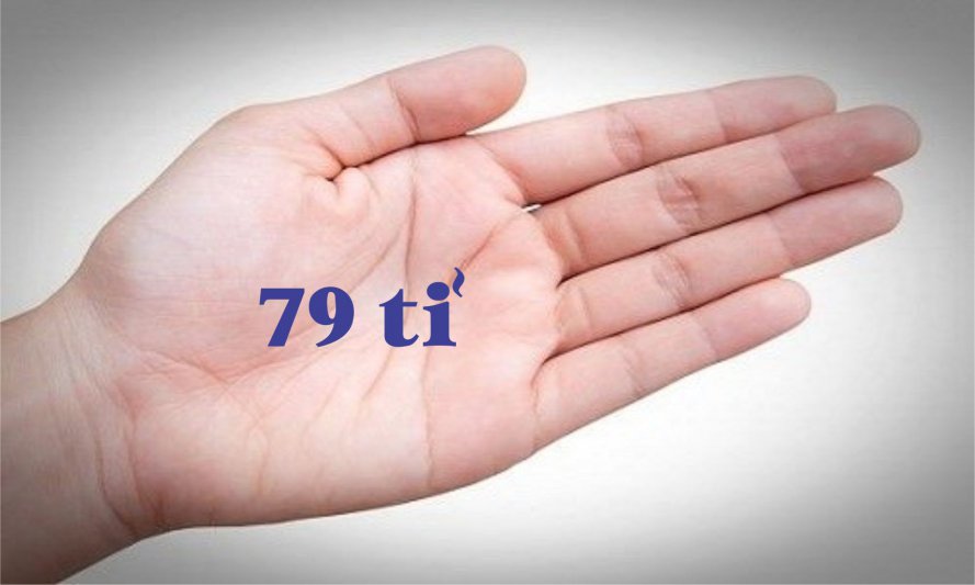 79 ti.jpg