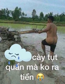7bd719b7446aae34f77b.jpg