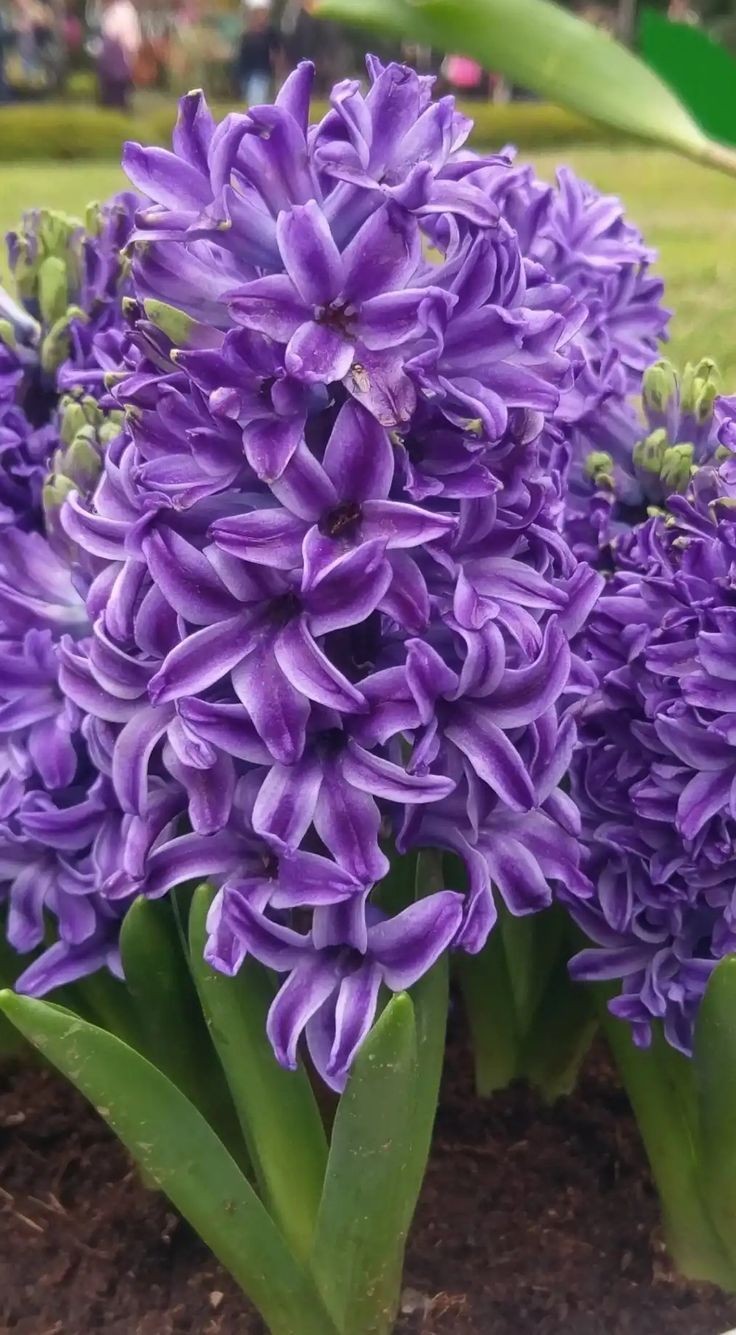 7d72f71d749aa3d5a7bb80e801d263d3.jpg