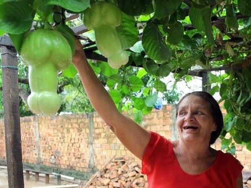7e7caa0f67b51c897484aedf1372f699--forbidden-fruit-well-well.jpg