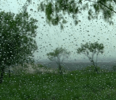 7ee27b131c8471cf5281a05a437eadf9[1].gif
