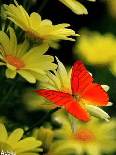 7fed72a3482c82a9e0d2a5ba27c96ac3.gif