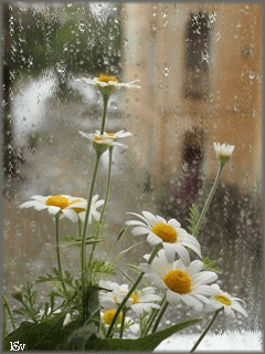 8080937c8451b7307f5cdb58ca9264ce.gif