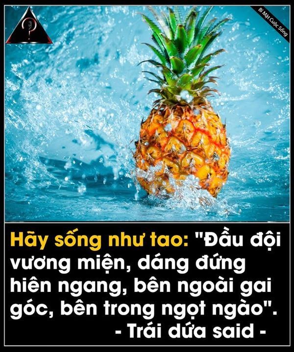 849ebd599f1dfe2c4594a8a5367fb108.jpg