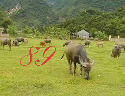 89.jpg
