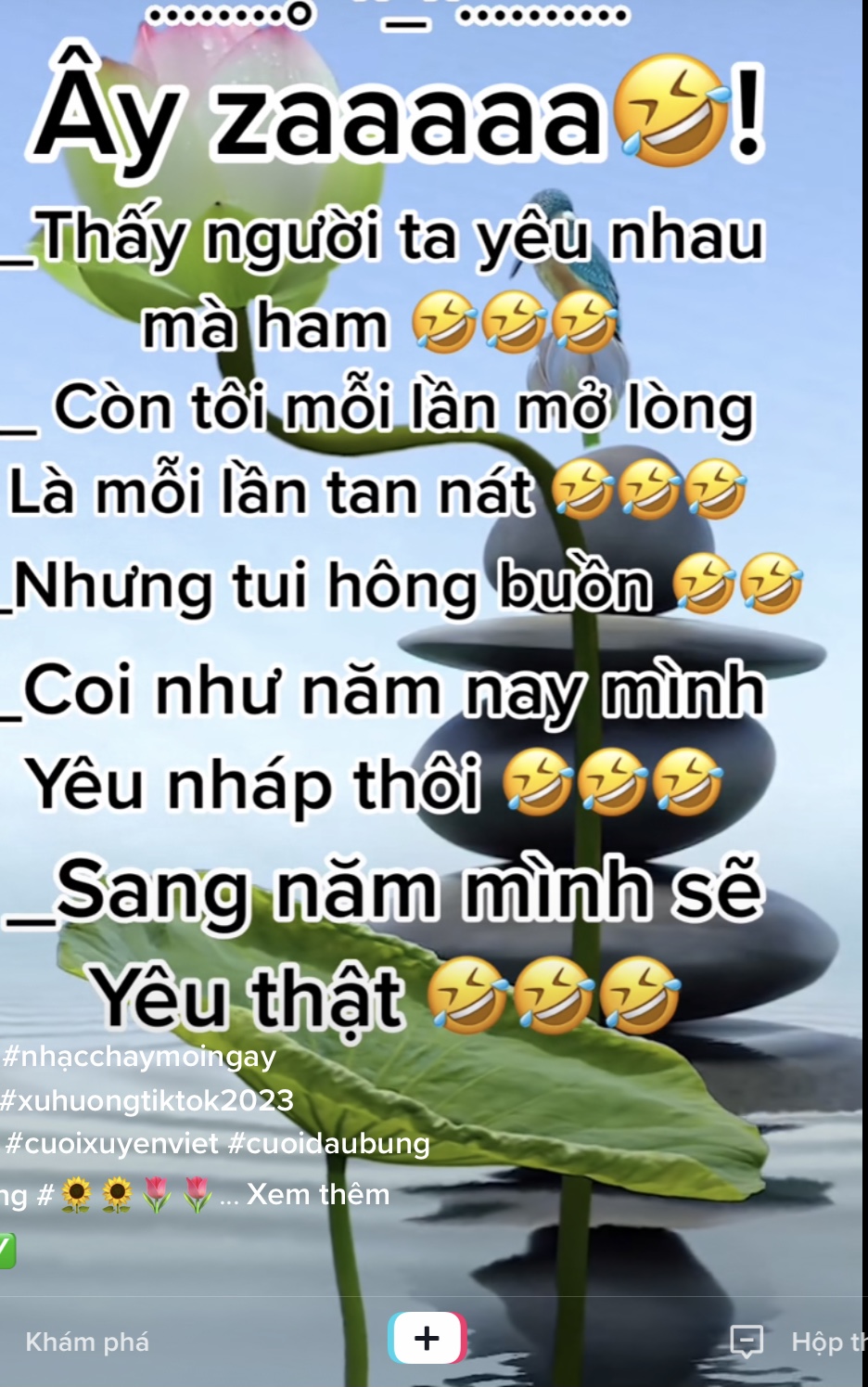 895CFA3C-40ED-4EDB-A356-669A6DD60E8C.jpeg