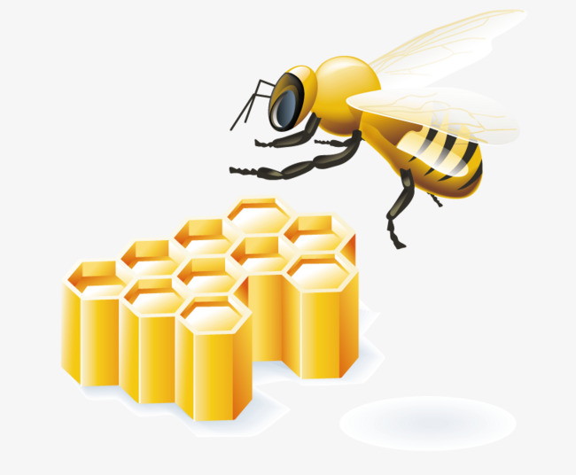 8b90b1a31c57b0b68c14b03b7238b0c7.jpg