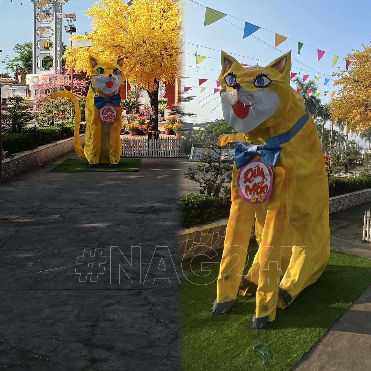 90096074-B5AA-4C91-9FC0-56ABA30D7B16.jpeg