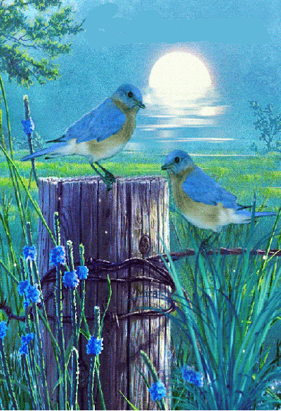 94c9f94e14ea3bc280394e1649449995.gif