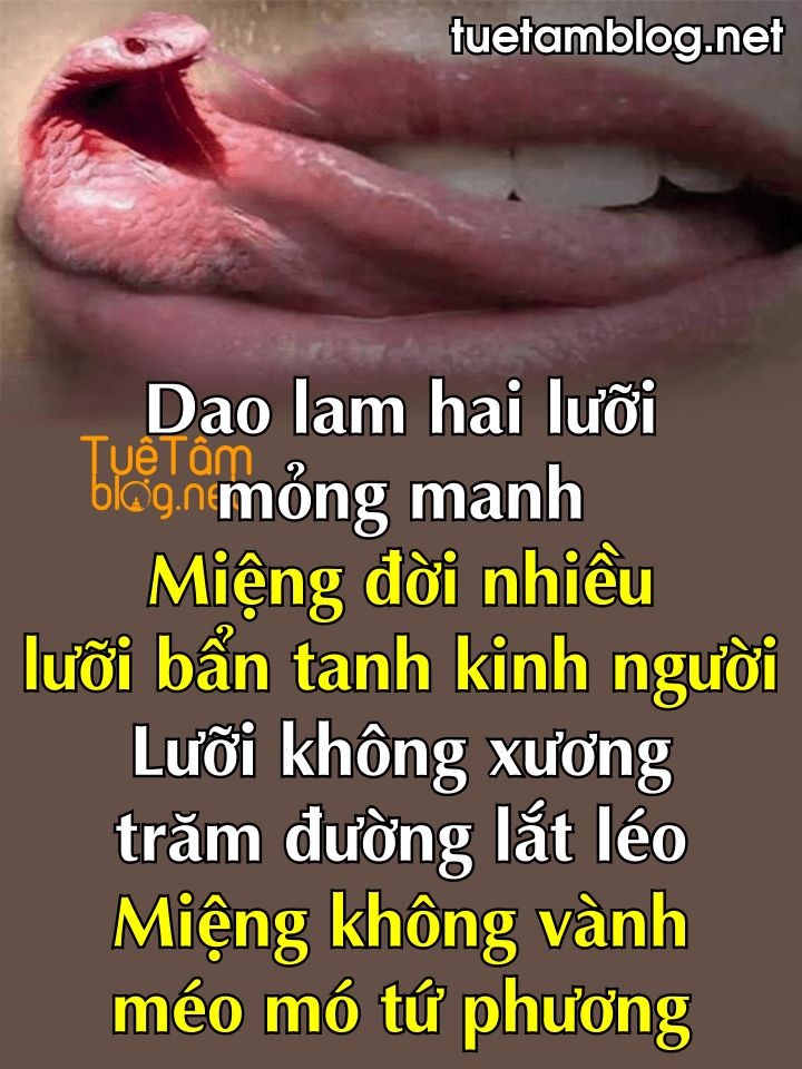 968440bd398f57cada8a078d95f6443e.jpg