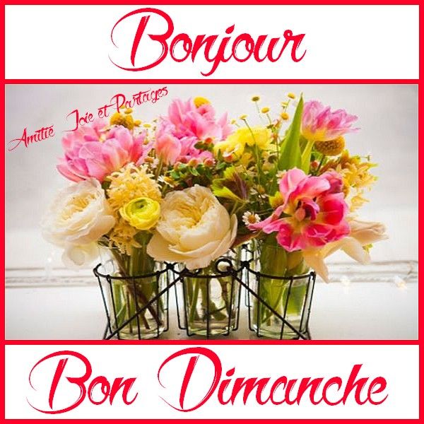 985ee86c7dee8ae5b3ce14f492b1c354--french-quotes-sur.jpg
