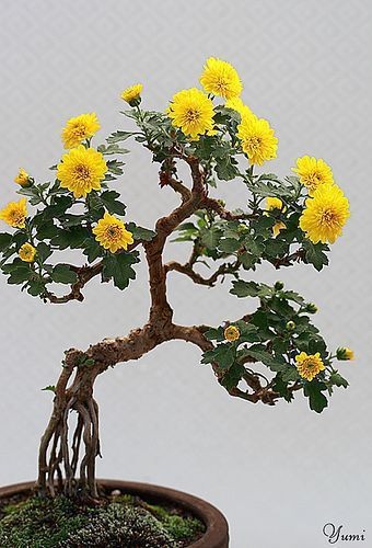 a177e47e24ac61d087aa96d52e500625.jpg
