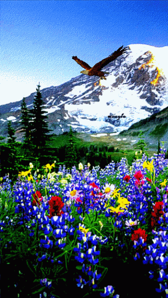 a1ea12a42b38db2741d5bf6803059c00.gif