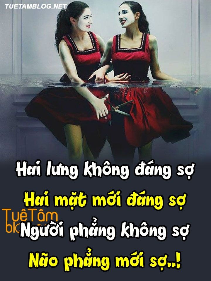 a2f956f9f9bcff75acb52dc148c3e3c5.jpg
