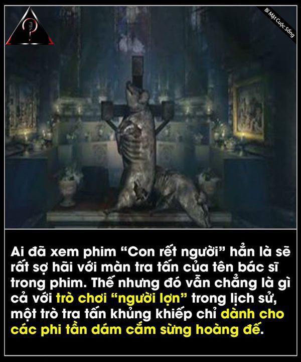 a4b5de49b7a497d31c3b074c9a666b55.jpg
