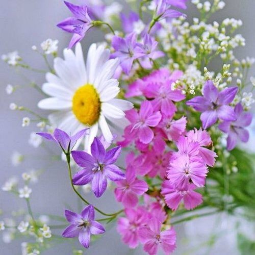 a5c0df52593cf0cd322b7b0e40d1b6b2.jpg