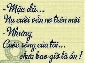 a6e44baa3bc9a920ac3f56765a76a8a3.jpg