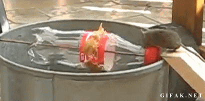 a884b2bc4bb90500ee76729927d75ba2.gif