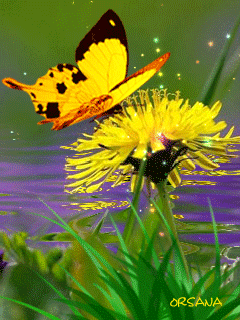 a9991b11fc0a2909ec876d6cbc226106.gif