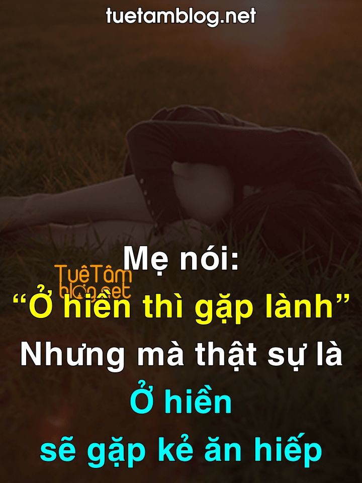 ae3d79fa1f17fad45d94428805eec91c.jpg