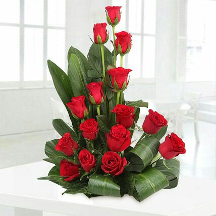 aed3006c2086819a9824bd076fb65184.jpg