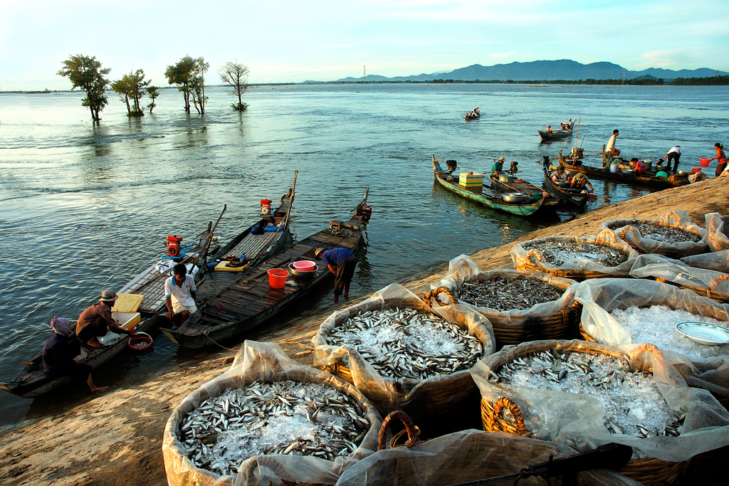 An%20Giang%20m%C3%B9a%20n%C6%B0%E1%BB%9Bc%20n%E1%BB%95i[1].jpg