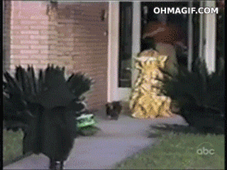 anh-dong-cho-7-2014-03-28.gif