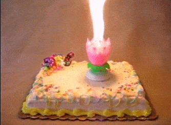 anh-dong-chuc-mung-sinh-nhat-17.gif