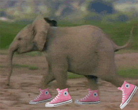 anh-dong-hai-huoc-23.gif