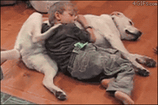 anh-dong-ngo-nghinh-cua-cho-9.gif