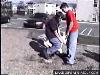 anh-dong7-ohay-tv-33772.gif