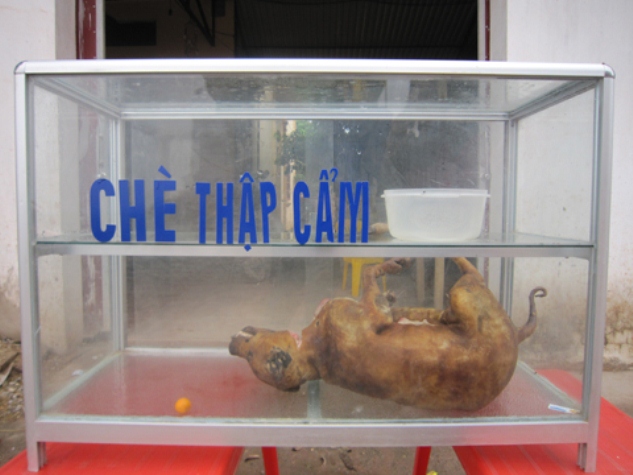 anh-hai-huoc-bandoc-giaoduc.net.vn2.jpg