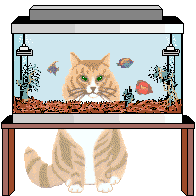 animated-cat-image-0002.gif