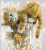 animated-cat-image-0405.gif
