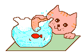 animated-cat-image-0410.gif