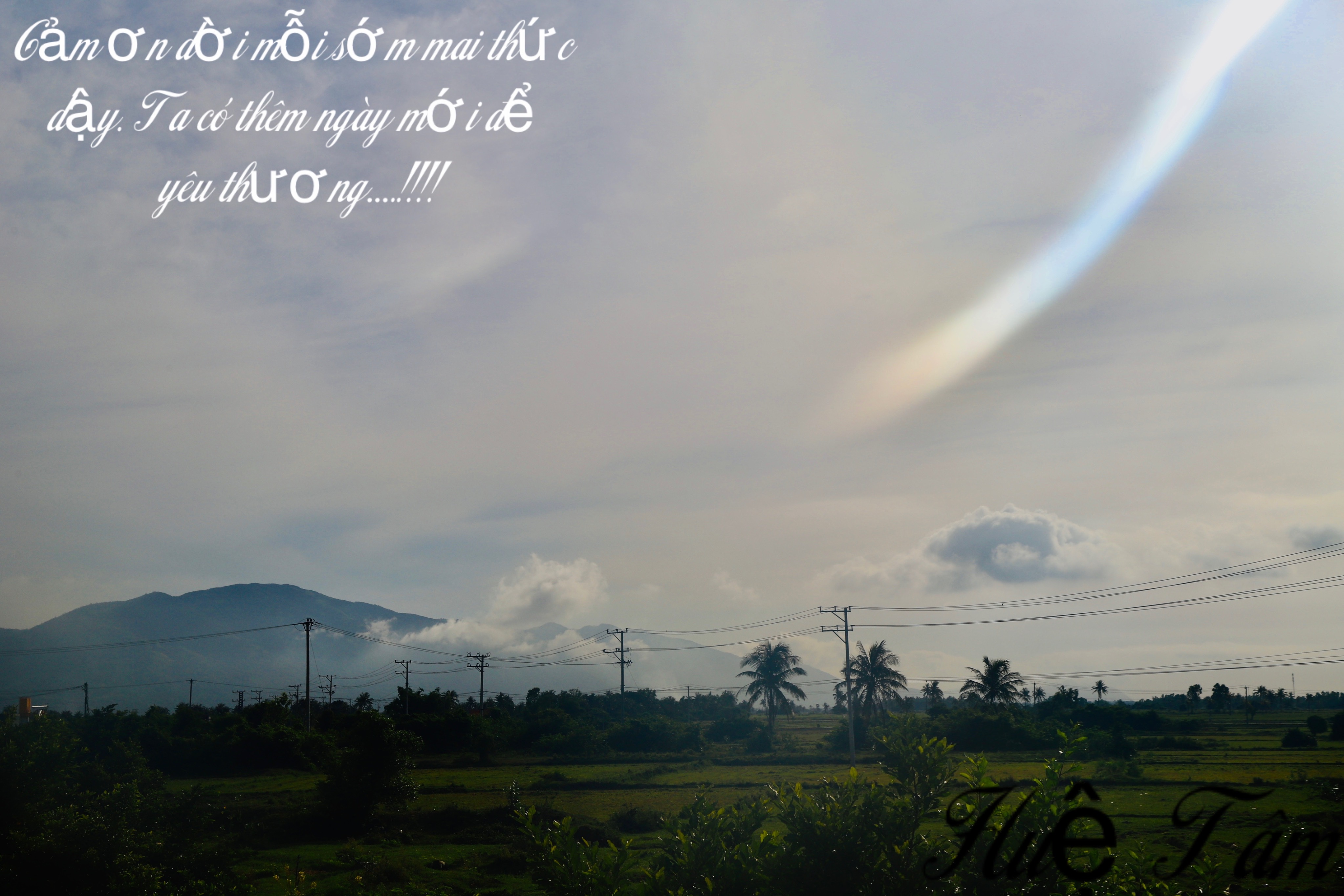 B0B4EA3B-5B6B-49D5-BF50-37E81B8A82E2.jpeg