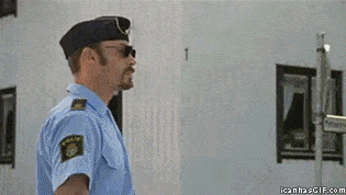 b12-c4c1e.gif