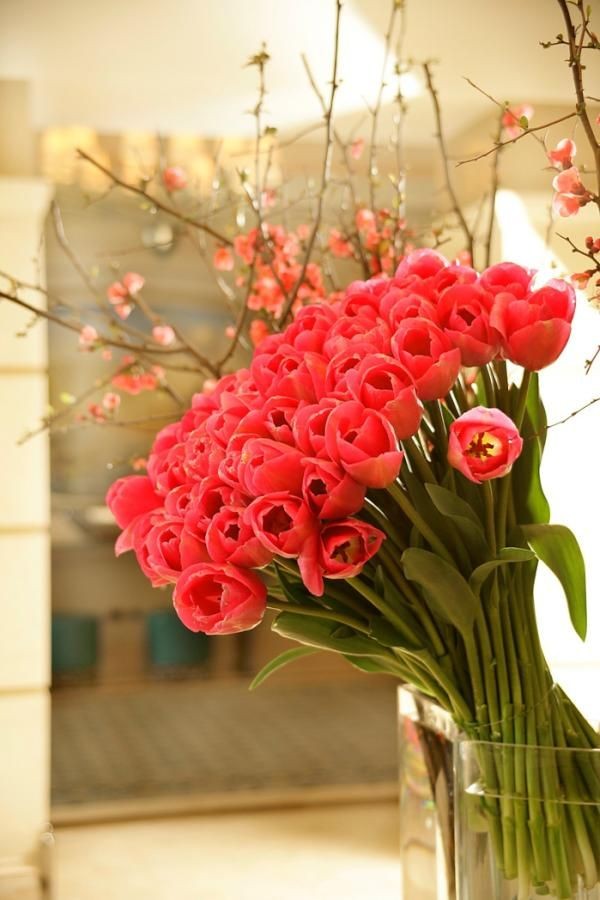 b1a8f6e939cd7eb6fdfe34b9fb77ba28.jpg