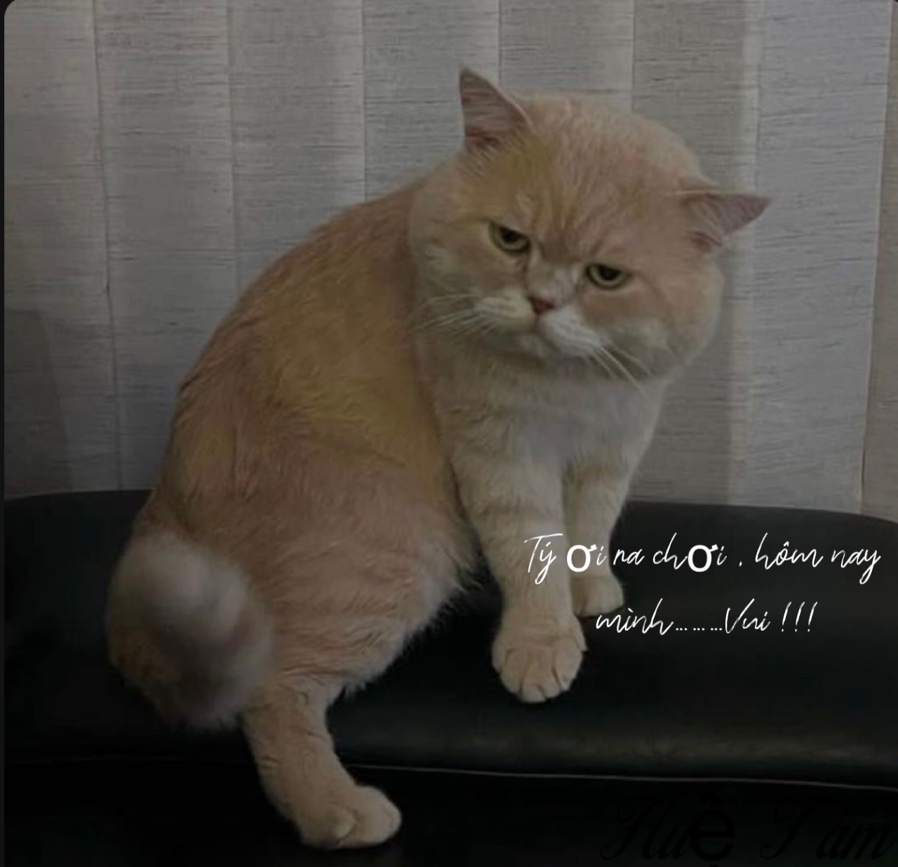 B286AE6F-0731-4F20-9CCC-57E387995899.jpeg