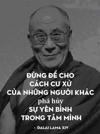 b8988c64ec4811ffbe0c3ebd82a557e6.jpg