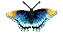 babochkia-417.gif